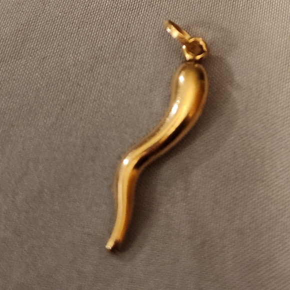 10K Yellow Gold Italian Horn Pendant Italian Horn  1″ - Picture 1 of 4
